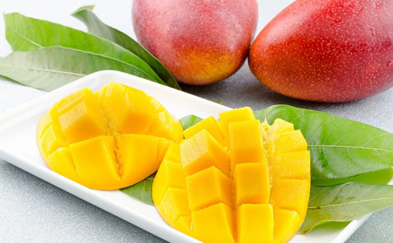 【2025年発送】サンライズファームのマンゴー 約１kg ご自宅用 アーウィン 果物 甘い 夏 濃厚 ギフト Mango ランキング 完熟 お気に入り 収穫 人気 甘味 フルーツ 沖縄県 国産 食品 デザート 産地直送 送料無料