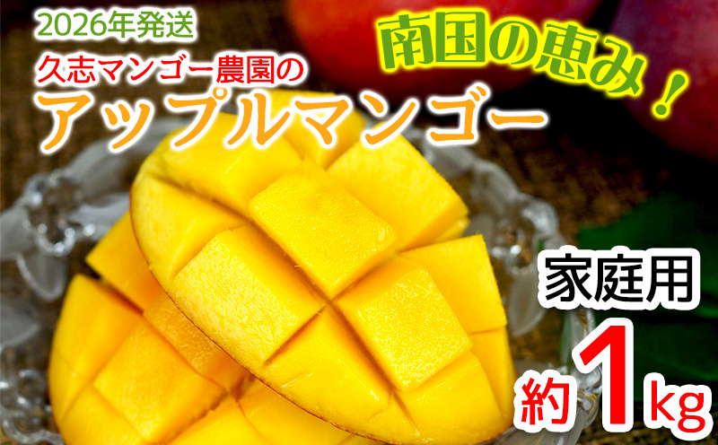 【2026年発送】久志マンゴー農園のアップルマンゴー家庭用（約1kg） アーウィン 果物 甘い 夏 濃厚 ギフト Mango ランキング 完熟 お気に入り 美味しい 人気 おすすめ フルーツ 沖縄県 先行予約 食品 デザート 産地直送 送料無料