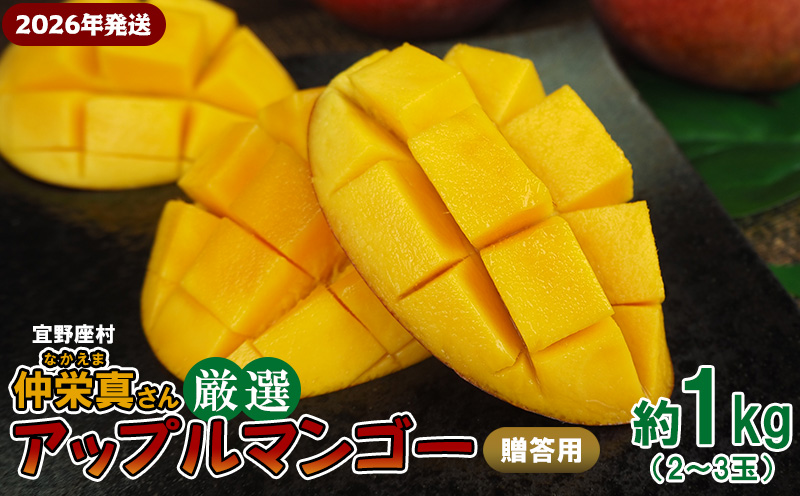 【2026年発送】宜野座村　仲栄真さん厳選アップルマンゴー贈答用（約1kg） アーウィン 果物 甘い 夏 濃厚 お取り寄せ Mango ランキング 完熟 お気に入り 美味しい 人気 おすすめ フルーツ 沖縄県 先行予約 食品 デザート 産地直送 送料無料