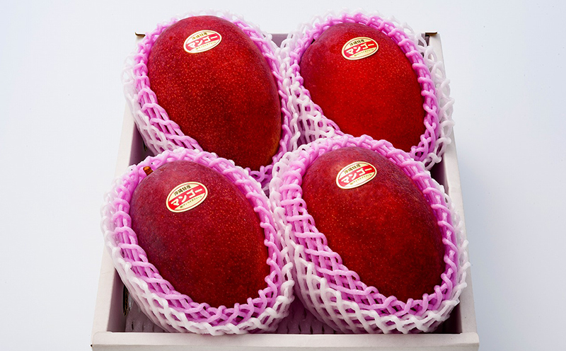 ã2026幎çºéã什å6幎æåªç§è³ãµã³ã©ã€ãºãã¡ãŒã ã®ãã³ãŽãŒå€§ç4ç2.4kg以äžãèŽççš ã¢ãŒãŠã£ã³ æç© çã å€ æ¿å ã®ãã Mango ã©ã³ãã³ã° å®ç ãæ°ã«å
¥ã åç©« äººæ° çå³ ãã«ãŒã æ²çžç åœç£ é£å ãã¶ãŒã ç£å°çŽé å®é座æ