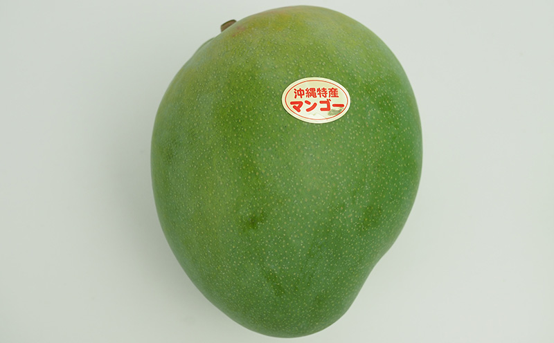 【2026年発送】農園直送！宜野座村　仲栄真さんのキーツマンゴー1玉（800g以上） フルーツ 甘い 美味しい 特徴 香り お取り寄せ Mango ランキング 大きい 希少 贈り物 ビタミン おすすめ 贅沢 栄養価 国産 沖縄県 人気 産地直送 送料無料