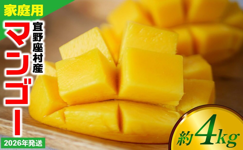 【2026年発送】ご家庭用マンゴー 約4kg【宜野座村産】 沖縄 南国 先行予約 期間限定 マンゴー 果物 くだもの フルーツ 果実 家庭用 自宅用 濃厚 甘い 芳醇 夏