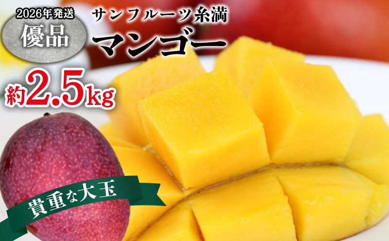 【2026年発送】サンフルーツ糸満マンゴー貴重な大玉 優品　約2.5kg 産地直送 先行予約 フルーツ 果物 くだもの アップルマンゴー アップル アーウィン種 濃厚 デザート 贅沢 旬の果物 甘い おすすめ プレゼント 贈答 冷蔵 国産 沖縄 沖縄県産