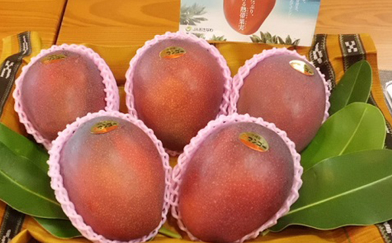 ã2026幎çºéããã³ãŽãŒã®æ ç¹ç£å°ãå®é座æãã®ç§åã¢ããã«ãã³ãŽãŒïŒçŽ1kgïŒ ã¢ãŒãŠã£ã³ æç© çã å€ æ¿å ã®ãã Mango ã©ã³ãã³ã° å®ç ãæ°ã«å
¥ã çŸå³ãã äººæ° ãããã å°å
æ²çžç å
è¡äºçŽ ååœãã«ãŒã ãã¶ãŒã ç£å°çŽé éæç¡æ