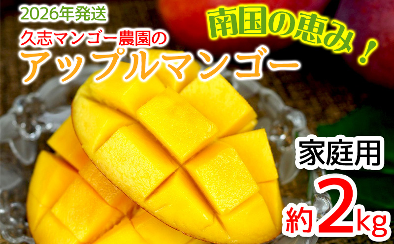 【2026年発送】久志マンゴー農園のアップルマンゴー家庭用（約2kg） アーウィン 果物 甘い 夏 濃厚 ギフト Mango ランキング 完熟 お気に入り 美味しい 人気 おすすめ フルーツ 沖縄県 先行予約 食品 デザート 産地直送 送料無料
