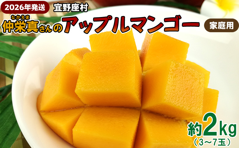 【2026年発送】宜野座村　仲栄真さんのアップルマンゴー家庭用（約2kg） アーウィン 果物 甘い 夏 濃厚 お取り寄せ Mango ランキング 完熟 お気に入り 美味しい 人気 おすすめ フルーツ 沖縄県 先行予約 食品 デザート 産地直送 送料無料