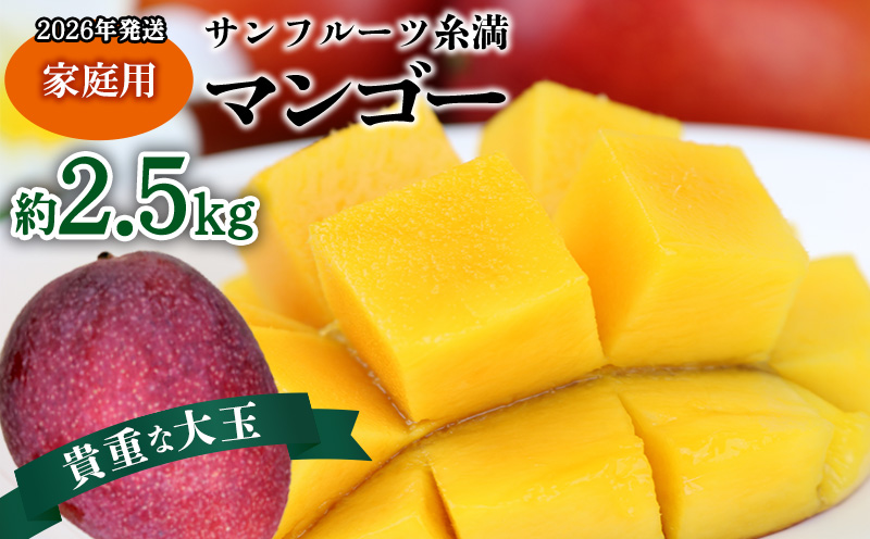 【2026年発送】サンフルーツ糸満マンゴー貴重な大玉 家庭用　約2.5kg 産地直送 先行予約 フルーツ 果物 くだもの アップルマンゴー アップル アーウィン種 濃厚 デザート 贅沢 旬の果物 甘い おすすめ プレゼント 贈答 冷蔵 国産 沖縄 沖縄県産