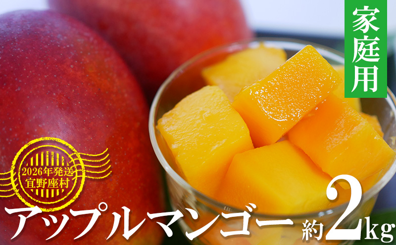 【2026年発送】マンゴーの拠点産地「宜野座村」の家庭用アップルマンゴー（約2kg） アーウィン 果物 甘い 夏 濃厚 お取り寄せ Mango ランキング 完熟 お気に入り 美味しい 人気 おすすめ 地元 沖縄県 先行予約 南国フルーツ デザート 産地直送 送料無料