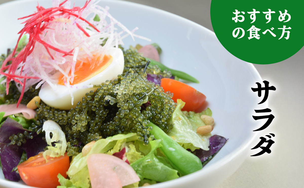 【2026年発送】宜野座村の海ぶどう（100g×5パック） うみぶどう ウミブドウ ぷちぷち プチプチ グリーンキャビア クビレズタ シーグレープ はじける 弾ける 食感 爽やか 磯の香り 海藻 新鮮 酢の物 サラダ トッピング 海鮮丼 沖縄 宜野座村