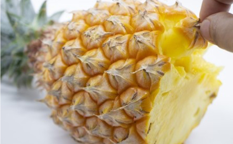 【2026年発送】仲間農園の宜野座村産完熟ボゴールパイン約3kg（小玉4～6個） 甘い 果物 熱帯 ジュース パインアップル 沖縄 国産 好き お祝い ギフト トロピカルフルーツ パイナップル スナック 送料無料 デザート 人気 甘味 送料無料 パイナップル 宜野座村