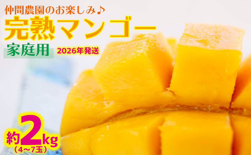 【2026年発送】仲間農園のお楽しみ（家庭用）完熟マンゴー約2kg（4～7玉） アーウィン 果物 甘い 夏 濃厚 ギフト Mango ランキング 完熟 お気に入り 収穫 人気 甘味 フルーツ 沖縄県 先行予約 食品 デザート 産地直送 送料無料