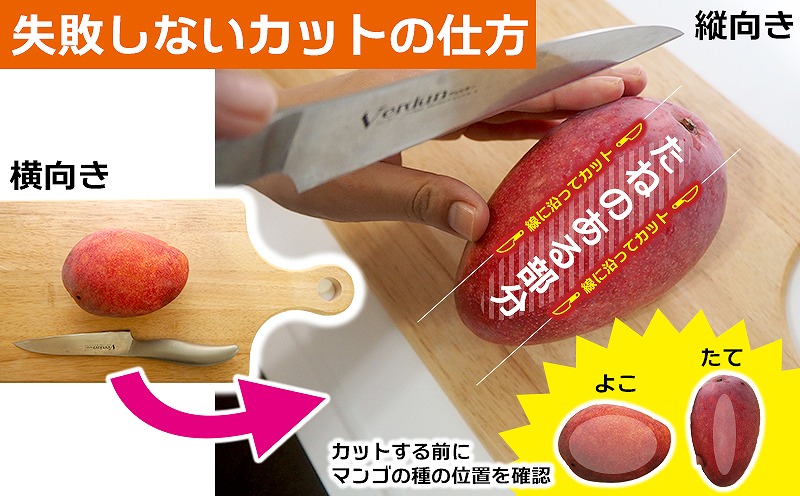 【2026年発送】平田果樹園の厳選アップルマンゴー贈答用（約1kg） アーウィン 果物 甘い 夏 濃厚 ギフト Mango ランキング 完熟 お気に入り 美味しい 人気 おすすめ フルーツ 沖縄県 先行予約 食品 デザート 産地直送 送料無料