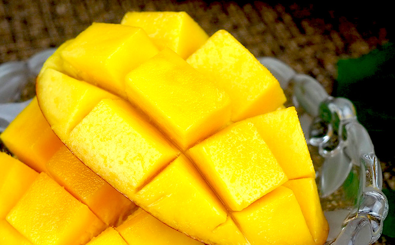 【2026年発送】久志マンゴー農園のアップルマンゴー家庭用（約1kg） アーウィン 果物 甘い 夏 濃厚 ギフト Mango ランキング 完熟 お気に入り 美味しい 人気 おすすめ フルーツ 沖縄県 先行予約 食品 デザート 産地直送 送料無料