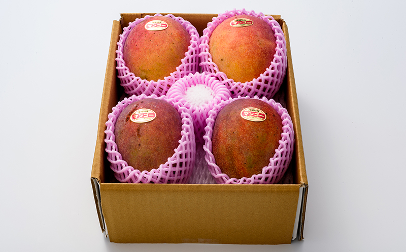 【2026年発送】サンライズファームのご自宅用マンゴー約2kg(4～6玉) アーウィン 果物 甘い 夏 濃厚 ギフト Mango ランキング 完熟 お気に入り 収穫 人気 甘味 フルーツ 沖縄県 国産 食品 デザート 産地直送 宜野座村