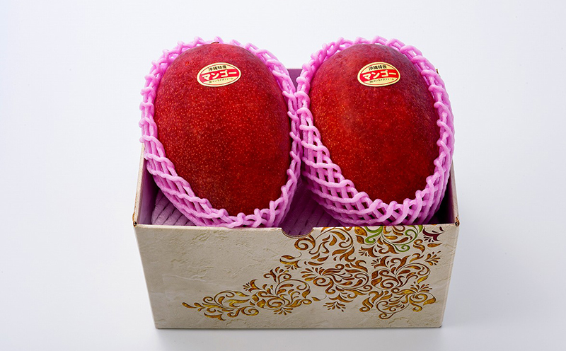 ã2026幎çºéã什å6幎æåªç§è³ãµã³ã©ã€ãºãã¡ãŒã ã®ãã³ãŽãŒå€§ç2ç1.2kg以äžãèŽççš ã¢ãŒãŠã£ã³ æç© çã å€ æ¿å ã®ãã Mango ã©ã³ãã³ã° å®ç ãæ°ã«å
¥ã åç©« äººæ° çå³ ãã«ãŒã æ²çžç åœç£ é£å ãã¶ãŒã ç£å°çŽé å®é座æ