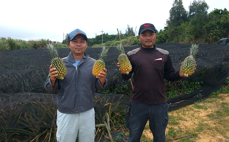 2026幎çºéãæ°ééå®ãã²ãšãã¡ãŒã éæŠçºã®ãããããïŒæ¥µäžïŒãã€ã³ 6ç ãã€ãããã« ã±ããªã£ã·ã ãã€ã³ã¢ããã« ã±ãããã£ã·ã åœç£ ã®ãã ããŽãŒã« ã¹ãã㯠ãã€ã³ å€ èŽçå èŽãç© ãã¬ãŒã³ã ãã¬ãã·ã¥ åç£ ãåãå¯ã ãã«ãŒã æç© æ²çž éæŠçº