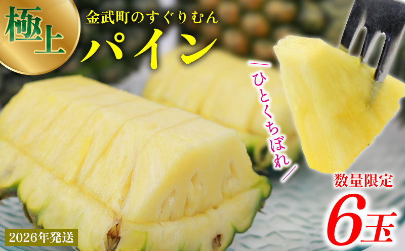 2026幎çºéãæ°ééå®ãã²ãšãã¡ãŒã éæŠçºã®ãããããïŒæ¥µäžïŒãã€ã³ 6ç ãã€ãããã« ã±ããªã£ã·ã ãã€ã³ã¢ããã« ã±ãããã£ã·ã åœç£ ã®ãã ããŽãŒã« ã¹ãã㯠ãã€ã³ å€ èŽçå èŽãç© ãã¬ãŒã³ã ãã¬ãã·ã¥ åç£ ãåãå¯ã ãã«ãŒã æç© æ²çž éæŠçº