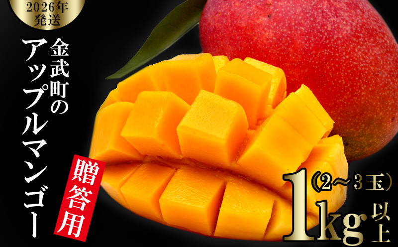 【2026年発送】金武町のアップルマンゴー◆贈答用◆1kg以上（2～3玉） アーウィン 果物 甘い 夏 濃厚 ギフト Mango ランキング 完熟 お気に入り 収穫 人気 甘味 フルーツ 沖縄県 先行予約 食品 デザート 産地直送 送料無料