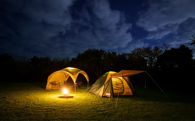 éæŠçºã§èªç¶äœéšããã€ãã£ãŒã¿ããé€šãæœèšå©çšåž (3000å)