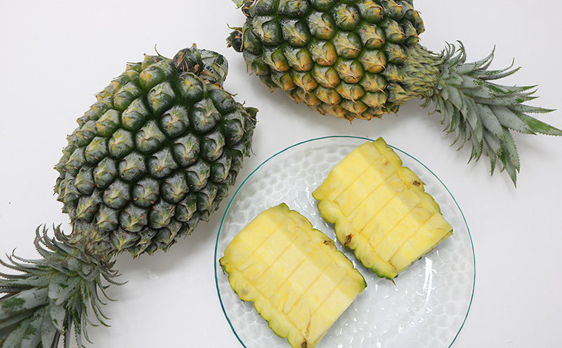 2026幎çºéãæ°ééå®ãã²ãšãã¡ãŒã éæŠçºã®ãããããïŒæ¥µäžïŒãã€ã³ 6ç ãã€ãããã« ã±ããªã£ã·ã ãã€ã³ã¢ããã« ã±ãããã£ã·ã åœç£ ã®ãã ããŽãŒã« ã¹ãã㯠ãã€ã³ å€ èŽçå èŽãç© ãã¬ãŒã³ã ãã¬ãã·ã¥ åç£ ãåãå¯ã ãã«ãŒã æç© æ²çž éæŠçº