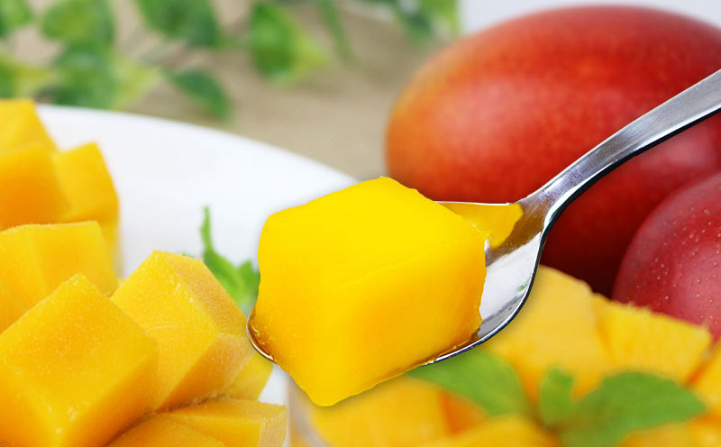 ã2026幎çºéãéæŠçºã®ã¢ããã«ãã³ãŽãŒâèŽççšâ1kg以äžïŒ2ïœ3çïŒ ã¢ãŒãŠã£ã³ æç© çã å€ æ¿å ã®ãã Mango ã©ã³ãã³ã° å®ç ãæ°ã«å
¥ã åç©« äººæ° çå³ ãã«ãŒã æ²çžç å
è¡äºçŽ é£å ãã¶ãŒã ç£å°çŽé éæç¡æ