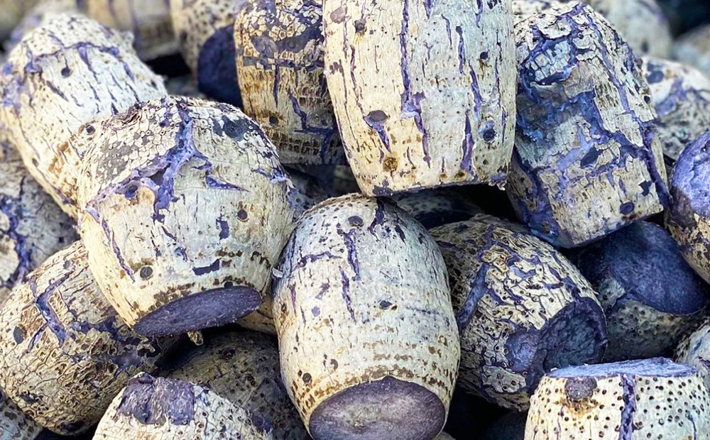 ç°è蟲家ãäœãç°èã〠èš10åïŒ2åå
¥ãÃ5è¢ïŒ è ããã éè ç£å°çŽé ã¹ã€ãŒã ãèå ãã〠å·å æ²çžç éæŠçº