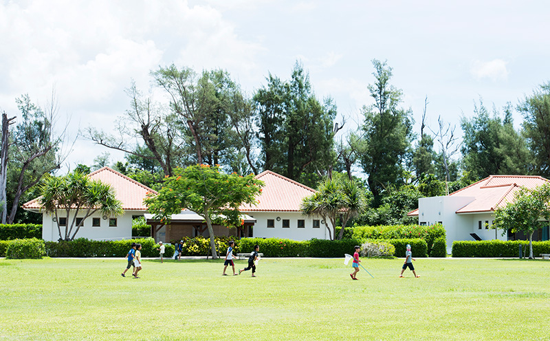 éæŠçºã§èªç¶äœéšããã€ãã£ãŒã¿ããé€šãæœèšå©çšåž (3000å)