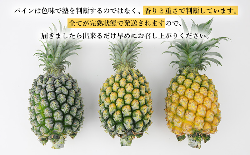 2026幎çºéãæ°ééå®ãã²ãšãã¡ãŒã éæŠçºã®ãããããïŒæ¥µäžïŒãã€ã³ 6ç ãã€ãããã« ã±ããªã£ã·ã ãã€ã³ã¢ããã« ã±ãããã£ã·ã åœç£ ã®ãã ããŽãŒã« ã¹ãã㯠ãã€ã³ å€ èŽçå èŽãç© ãã¬ãŒã³ã ãã¬ãã·ã¥ åç£ ãåãå¯ã ãã«ãŒã æç© æ²çž éæŠçº