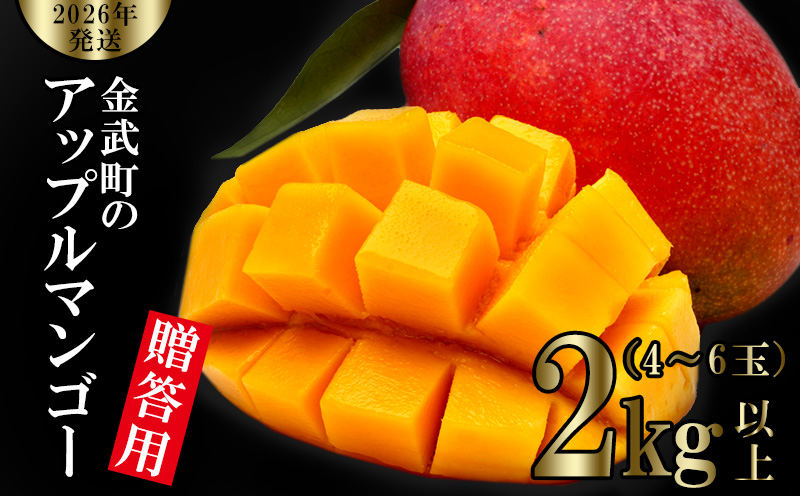 【2026年発送】金武町のアップルマンゴー◆贈答用◆2kg以上（4～6玉） アーウィン 果物 甘い 夏 濃厚 ギフト Mango ランキング 完熟 お気に入り 収穫 人気 甘味 フルーツ 沖縄県 先行予約 食品 デザート 産地直送 送料無料
