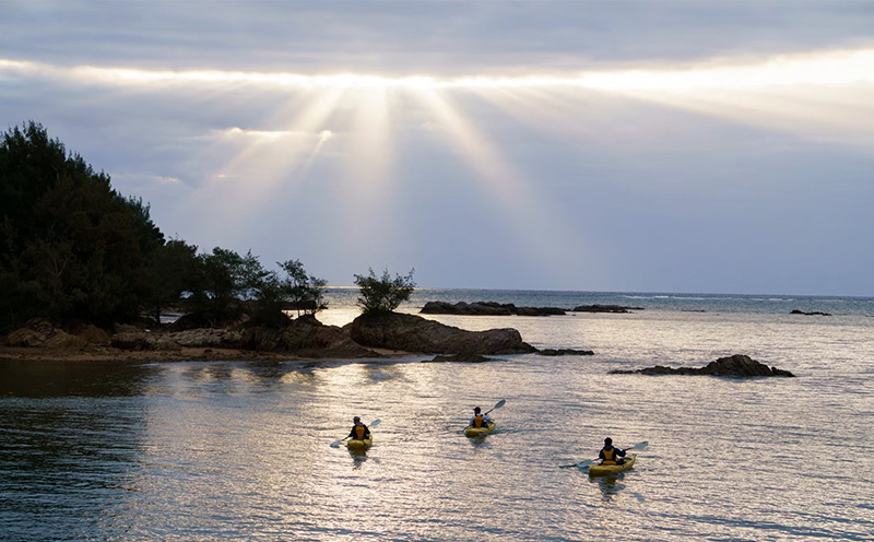 éæŠçºã§èªç¶äœéšããã€ãã£ãŒã¿ããé€šãæœèšå©çšåž (3000å)