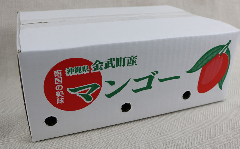 【2026年発送】農家さん直送！アップルマンゴー2kg以上　家庭用 アーウィン 果物 甘い 夏 濃厚 ギフト Mango ランキング 完熟 お気に入り 収穫 人気 甘味 フルーツ 沖縄県 先行予約 食品 デザート 産地直送 送料無料