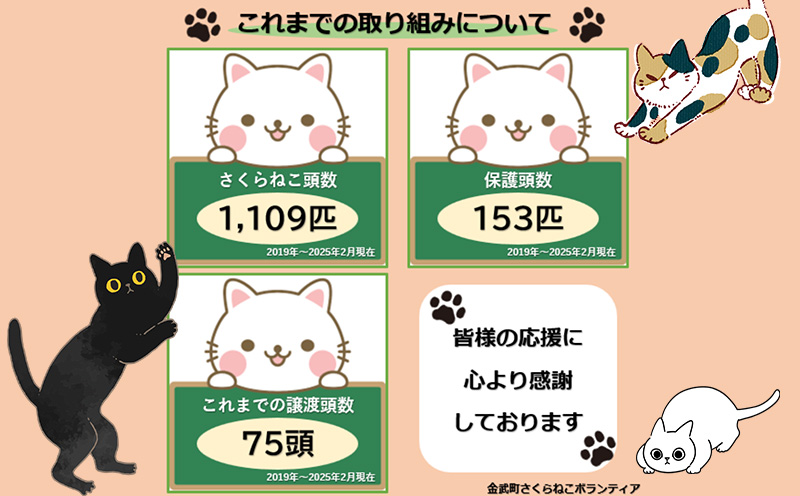 【お礼の品なし】沖縄県金武町でネコを救う　保護猫活動などをサポート（1万円） ねこ 地域猫 保護活動 支援 応援 動物愛護 地域猫 寄付のみ 思いやり 助ける 命 救助 感謝 お世話 沖縄県 南国 動物福祉 ペット 幸せ 活動