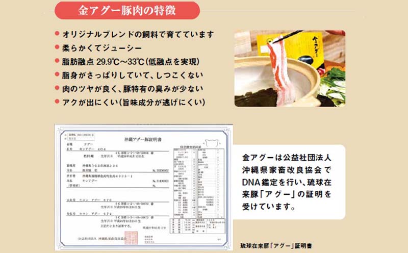 金アグー　こだわりのハンバーグ・肉餃子・ソーセージ3種セット