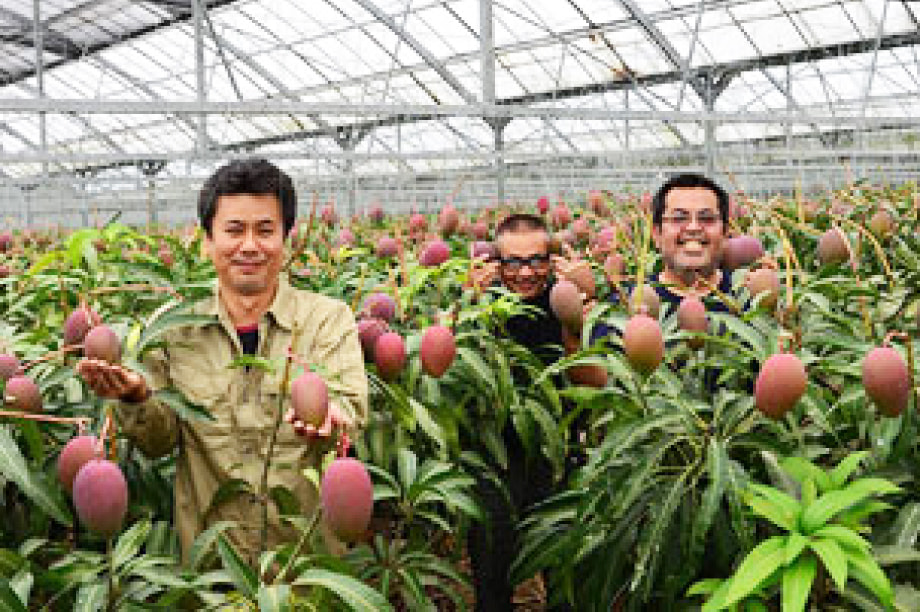 逕」讌ュ縺ョ謖ッ闊医↓髢「縺吶k莠区・ュ