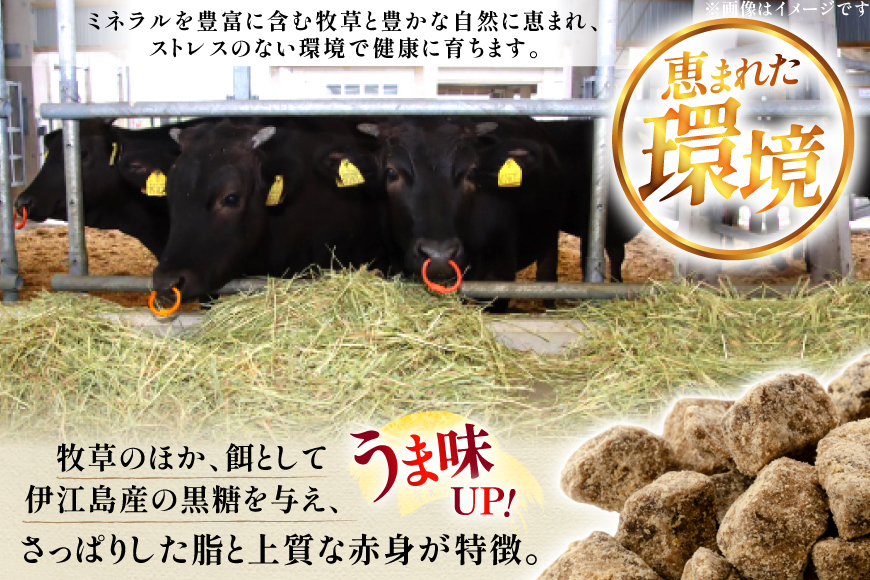 牛肉 伊江島牛 切り落とし 250g 2p 計500g [JAおきなわAコープ 沖縄県 伊江村 ie47bmw520001] 肉 切落し 和牛 黒毛和牛 小分け 冷凍 国産牛