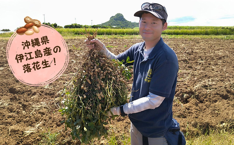 【伊江島 焼き菓子セット】 伊江ブラウニー&ie honeyフィナンシェ（各5個計10個入） チョコレート 濃厚 ギフト 味わい 風味 ピーナッツ はちみつ クール アーモンド 焼き菓子 人気 スイーツ 生地 黒砂糖 お祝い 定番 贈り物 お土産 おすすめ 送料無料