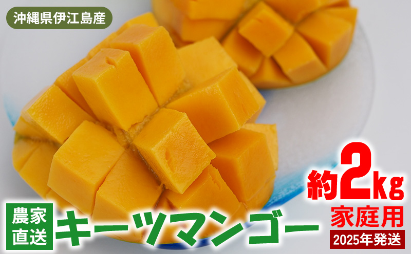 【2025年発送】沖縄県伊江島産　農家直送「キーツマンゴー」家庭用　約2kg フルーツ 果物 甘い 夏 濃厚 ギフト Mango ランキング 完熟 お気に入り 収穫 人気 甘味 フルーツ 沖縄県 国産 食品 特徴 産地直送 送料無料