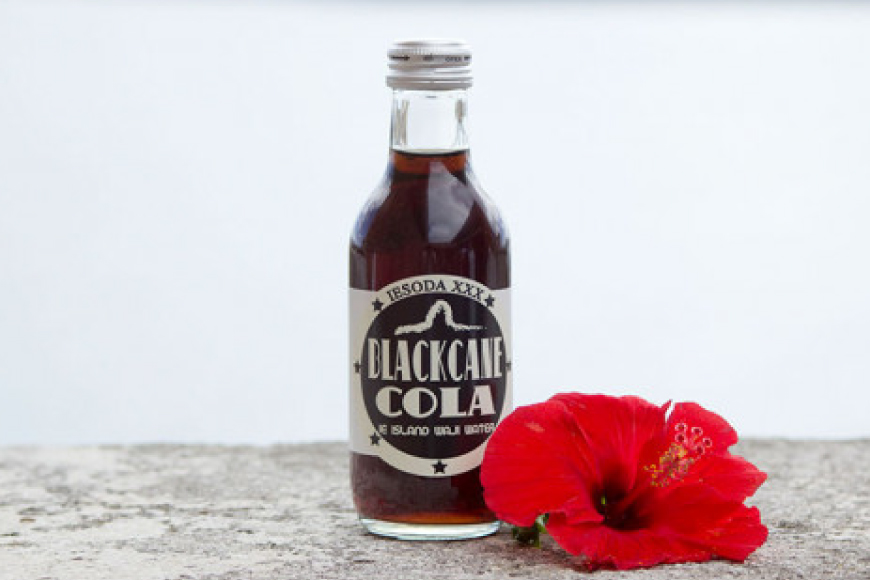 ソーダ 告白飲料 イエソーダ 24本セット [伊江島物産センター 沖縄県 伊江村 ie47bde210012] 炭酸 シュワシュワ 清涼飲料 クラフトソーダ ジュース サイダー