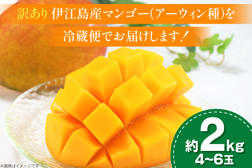 【期間限定発送】 訳あり マンゴー (アーウィン種) 約 2kg (4〜6玉) [伊江村マンゴー部会 沖縄県 伊江村 ie47bde320010] 沖縄 フルーツ 果物 甘い 夏 濃厚 Mango 果物 果実 くだもの