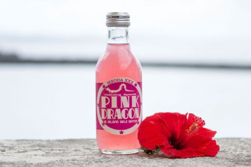 ソーダ 告白飲料 イエソーダ 8本セット [伊江島物産センター 沖縄県 伊江村 ie47bde210011] 炭酸 シュワシュワ 清涼飲料 クラフトソーダ ジュース サイダー