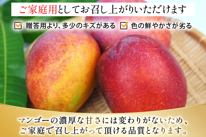 【期間限定発送】 家庭用 マンゴー (アーウィン種) 約 2kg (4〜6玉) [伊江村マンゴー部会 沖縄県 伊江村 ie47bde320011] 沖縄 フルーツ 果物 甘い 夏 濃厚 Mango 果物 果実 くだもの