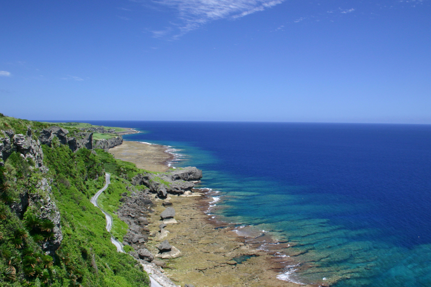 ゴーヤ 沖縄 ゴーヤの佃煮 200g 6個 いえじま便 [NOGU's 沖縄県 伊江村 ie47bde420014] 佃煮 ごーや 伊江島 シークワーサー