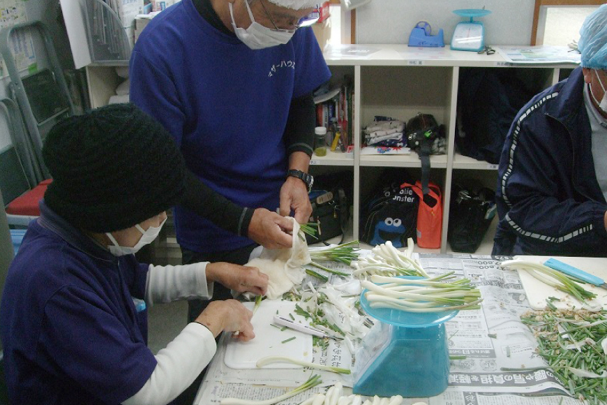 【期間限定発送】島らっきょう 生 皮むき 250g 4袋 計 1kg [ミュージアム 沖縄県 伊江村 ie47bde230011] 沖縄 おつまみ らっきょう 国産