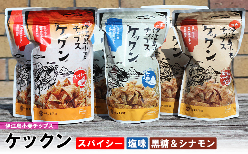 伊江島産全粒粉を使った　伊江島小麦チップス「ケックン」バラエティセット EM 独特な風味 軽い食感 ご当地 おやつ おつまみ お菓子 トルティーヤチップス サルサ お気に入り 美味しい 人気 沖縄 離島 クセになる 国産 お土産 送料無料 産地直送 楽しみ