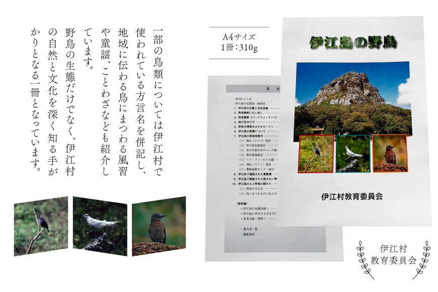 図鑑 伊江島の野鳥 1冊 [伊江村教育委員会 沖縄県 伊江村 ie47bde310000] 本 書籍 教育 野鳥図鑑 野鳥 鳥