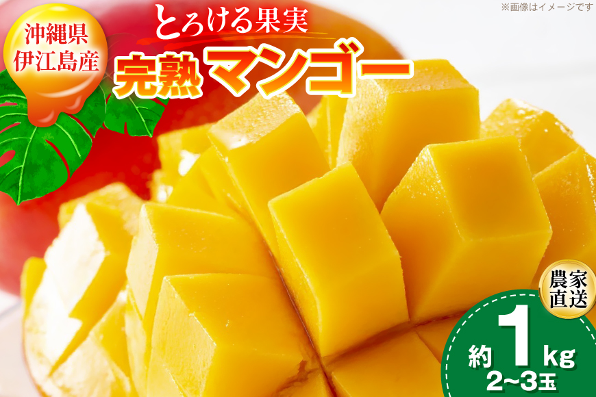 【期間限定発送】 完熟 マンゴー (アーウィン種) 約 1kg (2〜3玉) [伊江村マンゴー部会 沖縄県 伊江村 ie47bde320012] 沖縄 フルーツ 果物 甘い 夏 濃厚 Mango 果物 果実 くだもの