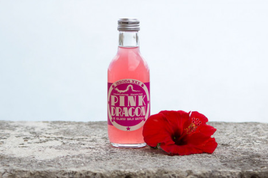 ソーダ 告白飲料 イエソーダ 24本セット [伊江島物産センター 沖縄県 伊江村 ie47bde210012] 炭酸 シュワシュワ 清涼飲料 クラフトソーダ ジュース サイダー