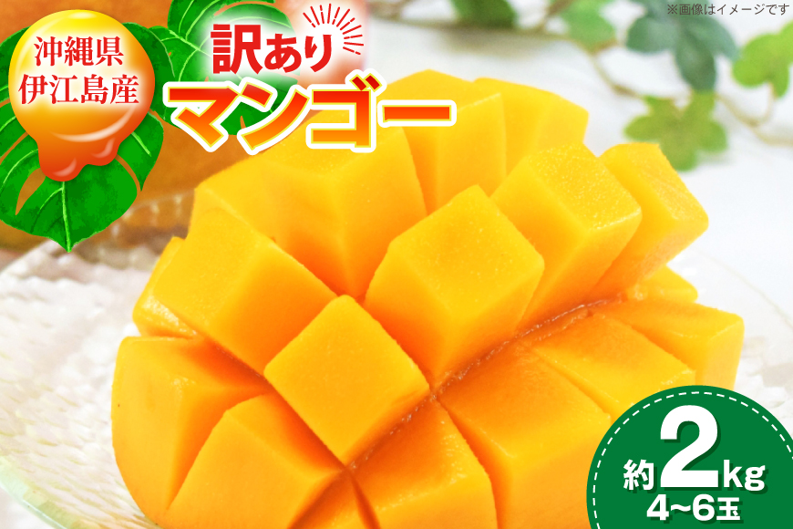【期間限定発送】 訳あり マンゴー (アーウィン種) 約 2kg (4〜6玉) [伊江村マンゴー部会 沖縄県 伊江村 ie47bde320010] 沖縄 フルーツ 果物 甘い 夏 濃厚 Mango 果物 果実 くだもの