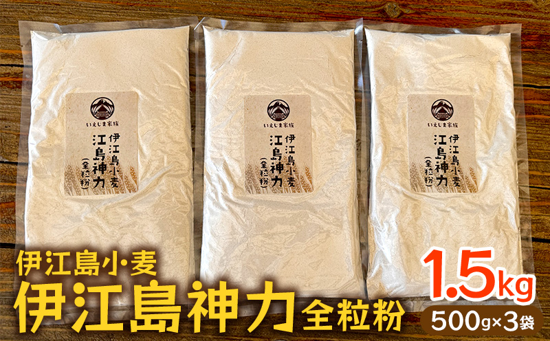 ～いえじま家族～ 伊江島小麦【江島神力】全粒粉 風味豊か 国産小麦 島の恵み 香り 素朴な甘み 地域密着 小麦本来 伝統 一期一会の味 お気に入り 美味しい 人気 おすすめ 地元 沖縄県 国産 食品 南国 産地直送 送料無料