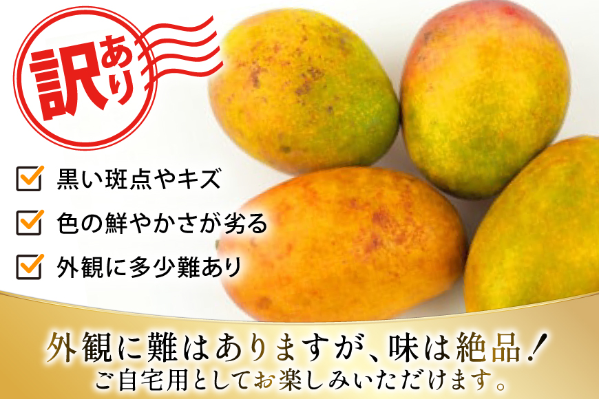 【期間限定発送】 訳あり マンゴー (アーウィン種) 約 2kg (4〜6玉) [伊江村マンゴー部会 沖縄県 伊江村 ie47bde320010] 沖縄 フルーツ 果物 甘い 夏 濃厚 Mango 果物 果実 くだもの
